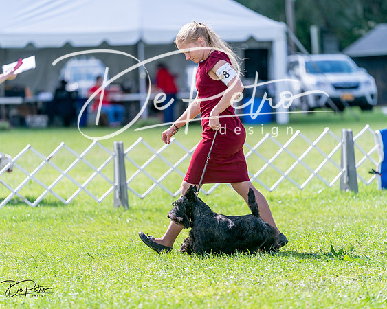 20240630-DSC03454