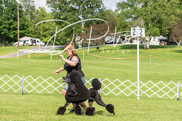 20190629-DSC03297