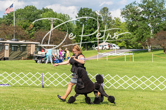20190629-DSC03300