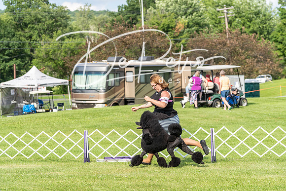 20190629-DSC03321