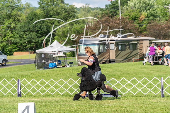20190629-DSC03323
