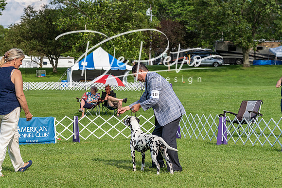 20190629-DSC03331