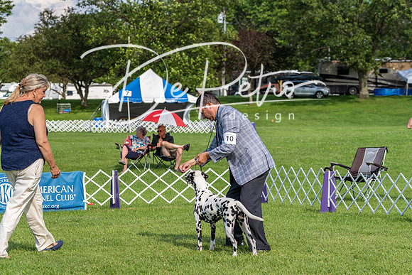20190629-DSC03332