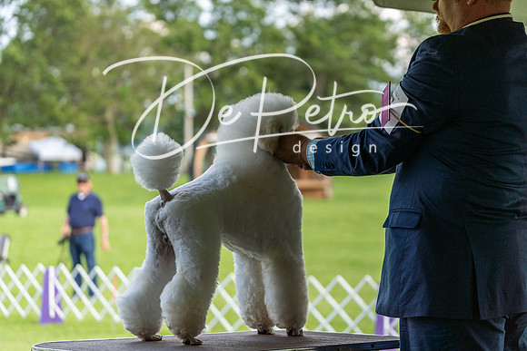20190629-DSC03377