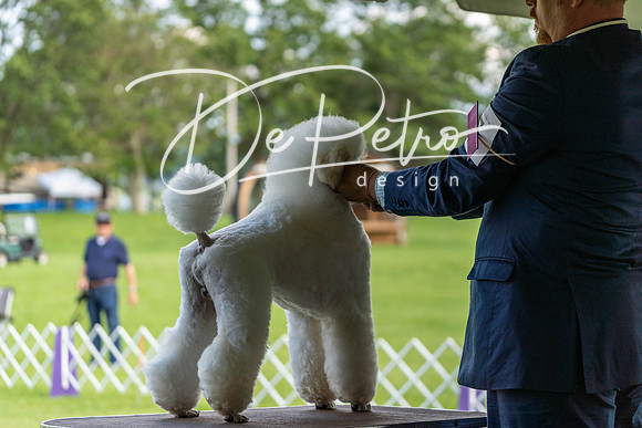 20190629-DSC03378