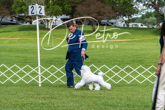 20190629-DSC03393