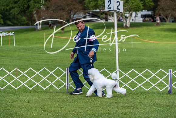 20190629-DSC03397