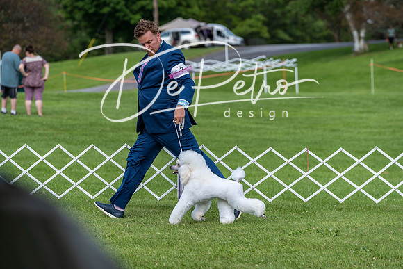 20190629-DSC03403