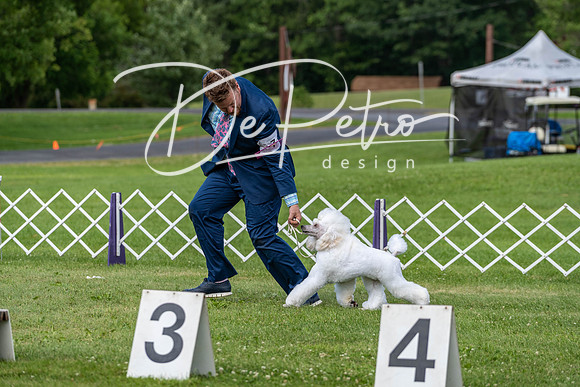 20190629-DSC03411