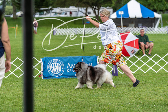20190629-DSC03423