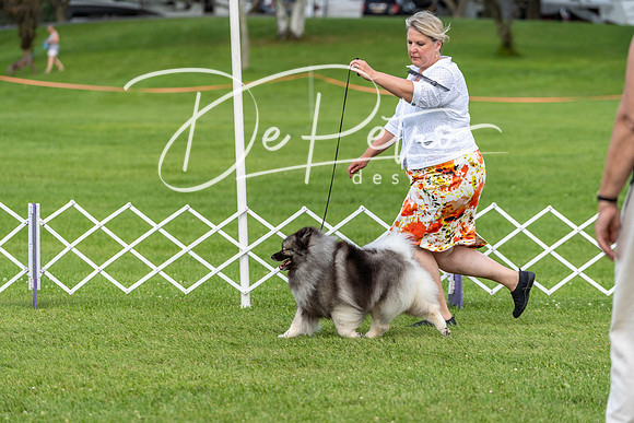 20190629-DSC03431