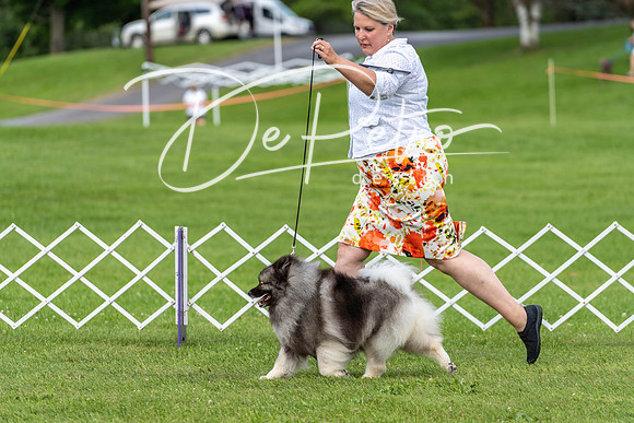 20190629-DSC03438