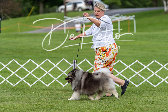 20190629-DSC03439