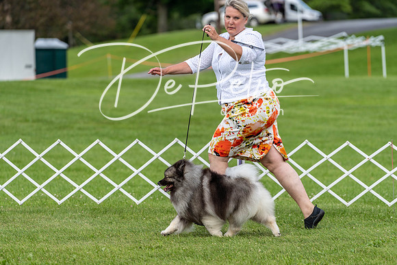 20190629-DSC03440