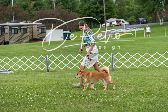 20190629-DSC03460