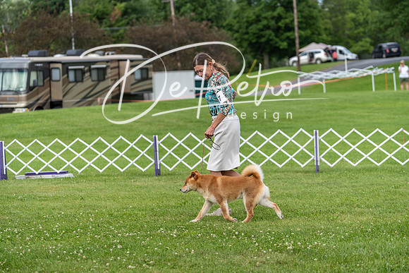 20190629-DSC03461