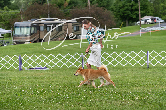 20190629-DSC03462