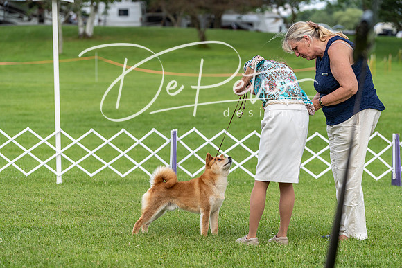 20190629-DSC03473
