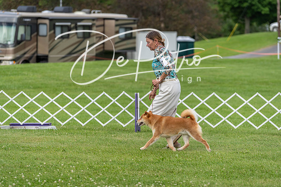 20190629-DSC03486