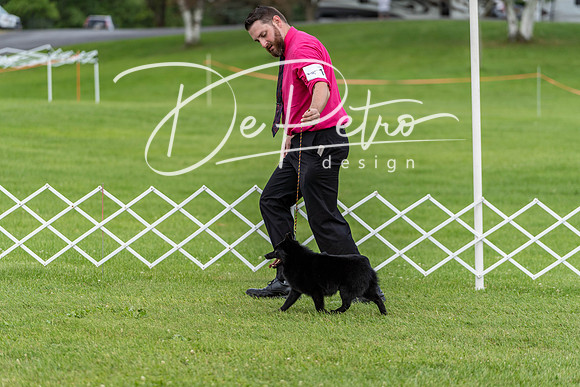 20190629-DSC03496