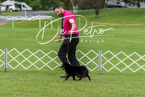 20190629-DSC03499