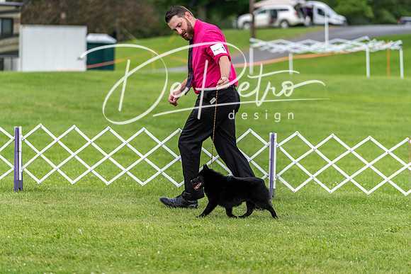 20190629-DSC03506