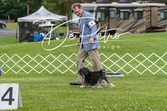 20190629-DSC03519