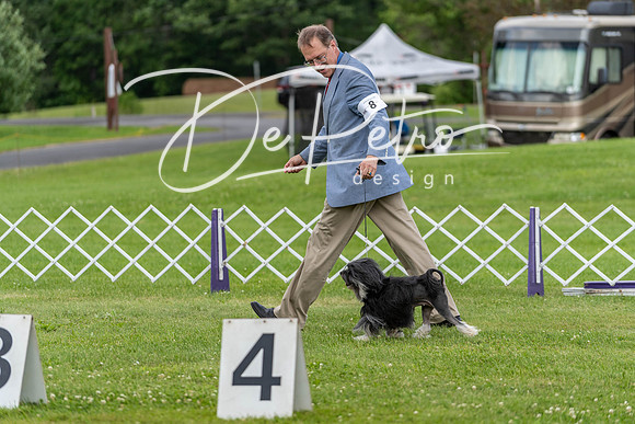 20190629-DSC03524
