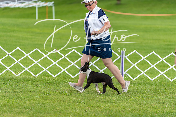 20190629-DSC03530