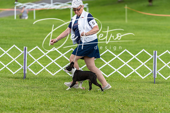 20190629-DSC03533