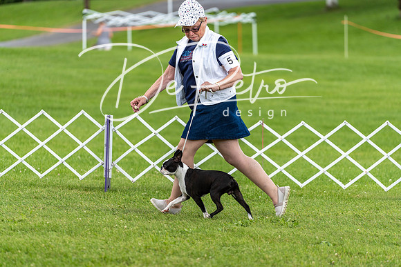 20190629-DSC03534