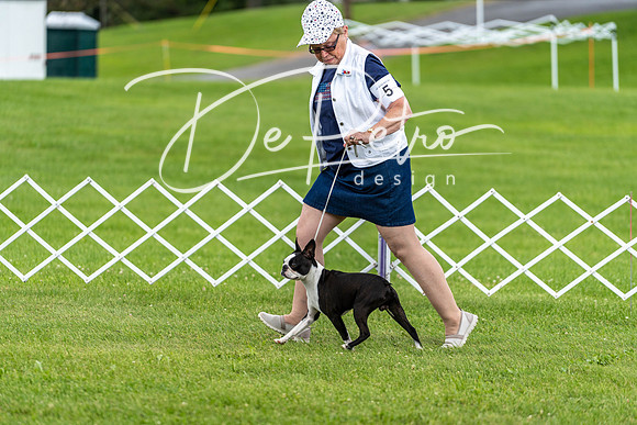 20190629-DSC03537