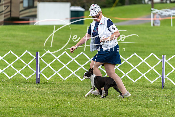 20190629-DSC03540