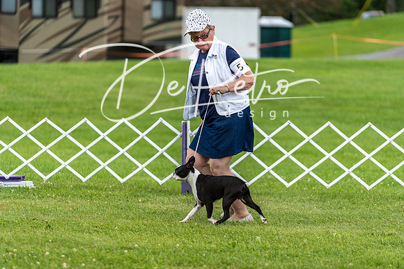 20190629-DSC03543