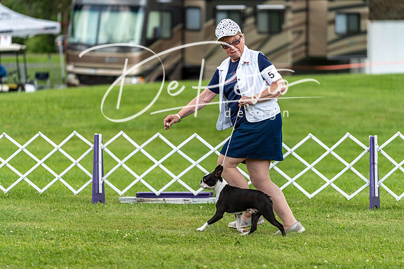 20190629-DSC03547
