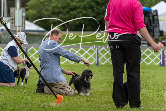 20190629-DSC03572