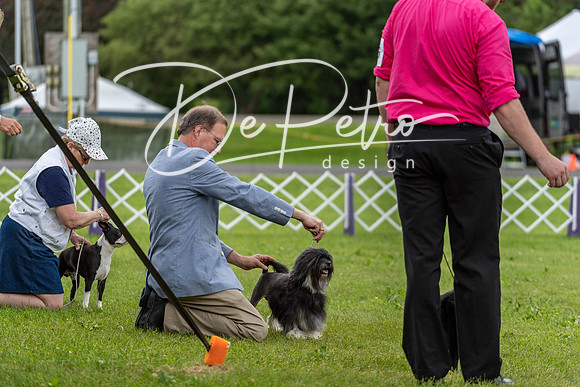 20190629-DSC03573