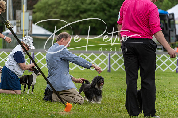 20190629-DSC03575