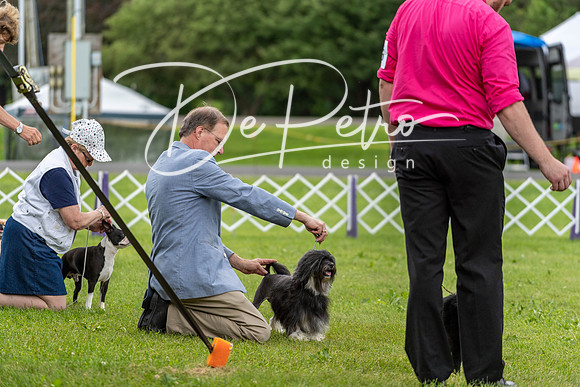 20190629-DSC03576