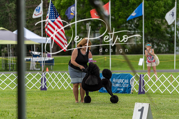 20190629-DSC03590
