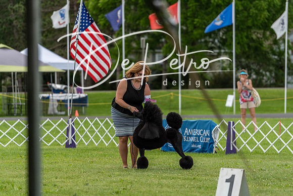 20190629-DSC03591
