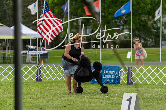 20190629-DSC03592