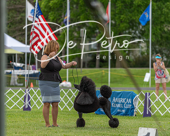 20190629-DSC03595