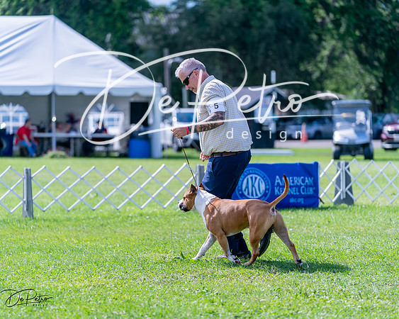 20240630-DSC03487