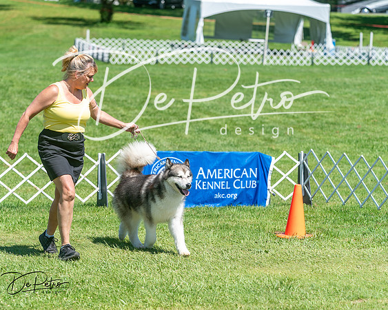 20250629-DSC09857