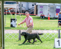 20240815-DSC07832