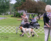 20250628-DSC07325