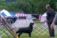 20250626-DSC02389
