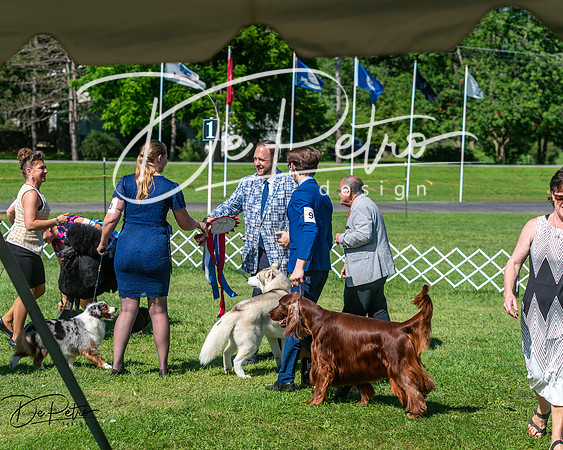 20250629-DSC01280