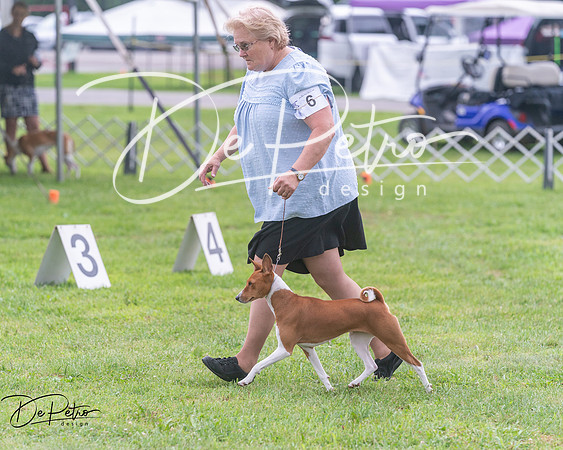 20250626-DSC04457